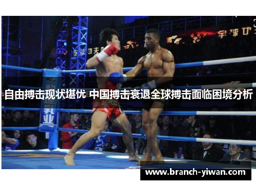 自由搏击现状堪忧 中国搏击衰退全球搏击面临困境分析