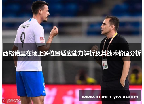 西格诺里在场上多位置适应能力解析及其战术价值分析
