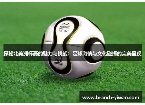 探秘北美洲杯赛的魅力与挑战：足球激情与文化碰撞的完美呈现