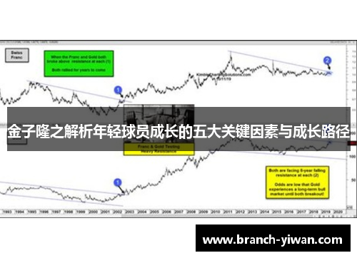 金子隆之解析年轻球员成长的五大关键因素与成长路径 金子隆之解析年轻球员成长的五大关键因素与成长路径