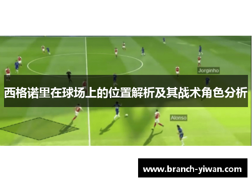 西格诺里在球场上的位置解析及其战术角色分析