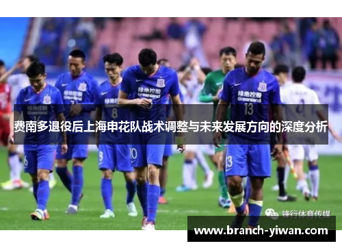 费南多退役后上海申花队战术调整与未来发展方向的深度分析