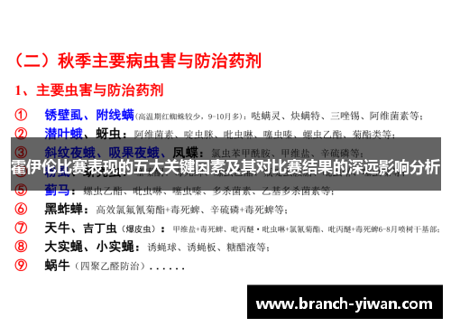 霍伊伦比赛表现的五大关键因素及其对比赛结果的深远影响分析