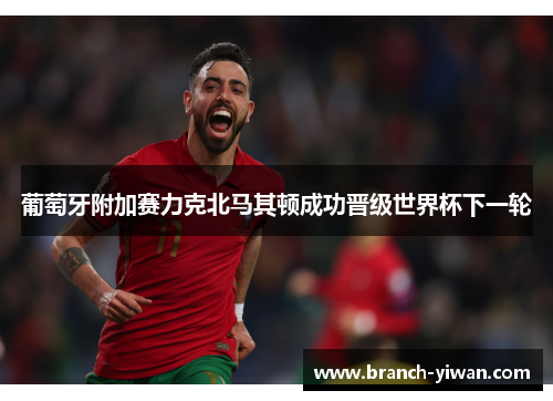 葡萄牙附加赛力克北马其顿成功晋级世界杯下一轮